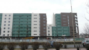 zdjęcie Ogrody Grabiszyńskie