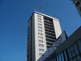 zdjęcie Dolarowiec