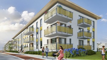 zdjęcie Trzy Kolory Olchy