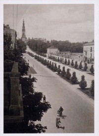 zdjęcie III Aleja im. Najświętszej Maryi Panny