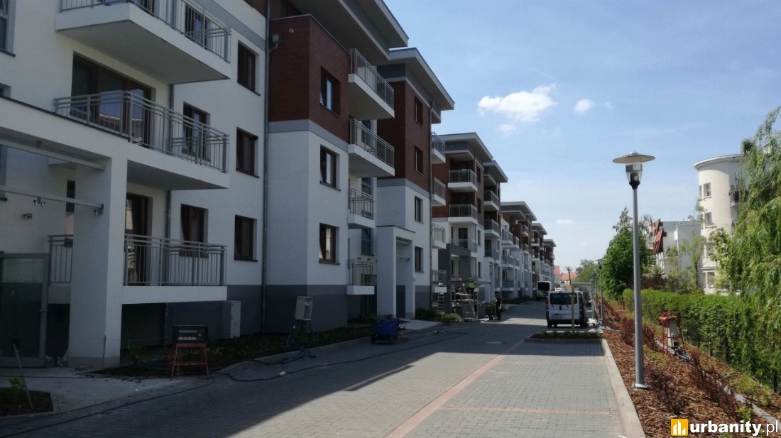 III etap