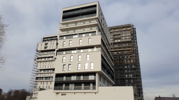 zdjęcie Witolda Park