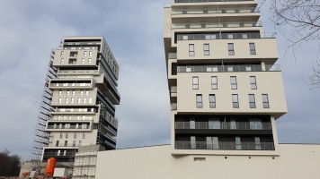 zdjęcie Witolda Park