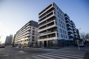 zdjęcie Mangalia Mokotów