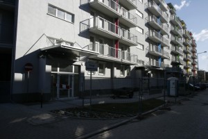 zdjęcie Mozaika