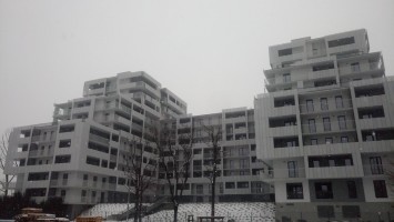 zdjęcie Feniks