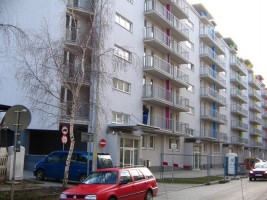 zdjęcie Mozaika