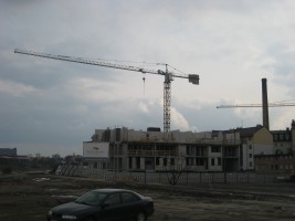 Majchrzak