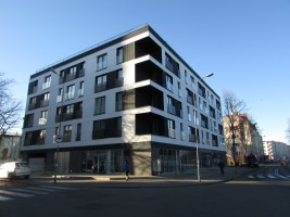 zdjęcie Kniewskiego 11