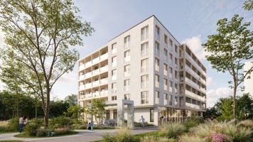 wizualizacje Neonove