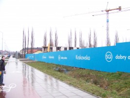 Widok od ulicy Europejskiej