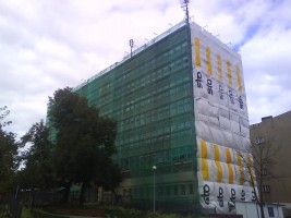 zdjęcie Zielona 8