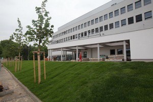 II etap - prace wykończeniowe