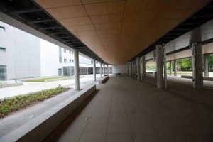 II etap - prace wykończeniowe