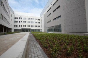 II etap - prace wykończeniowe