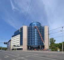 zdjęcie Centrum Orląt