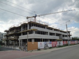 zdjęcie Aluzyjna 17