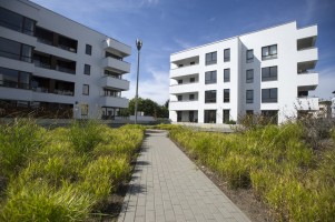 zdjęcie Osiedle Bluszczańska