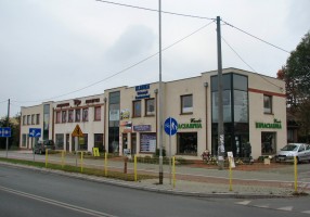 zdjęcie Leśna 2