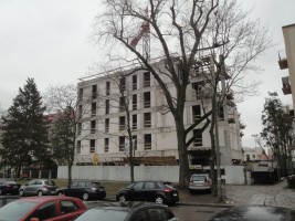 zdjęcie Białowieska 16