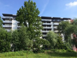 zdjęcie Złotej Jesieni