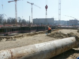 zdjęcie Angel Wings Faza A