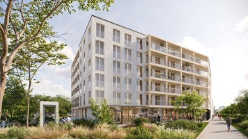 wizualizacje Neonove