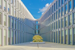 zdjęcie Olimpia Nova