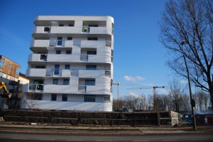 zdjęcie Bajeczne Dąbie II