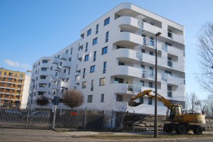 zdjęcie Bajeczne Dąbie II