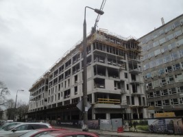 zdjęcie Sava Mińska 25