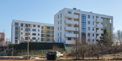 zdjęcie Amareno