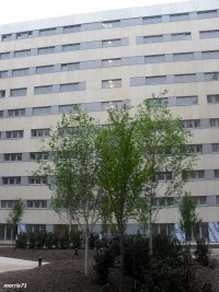 prace wykończeniowe