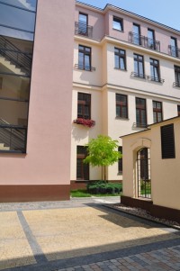 zdjęcie Kasztanowy Park