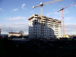 zdjęcie Piasta Kołodzieja