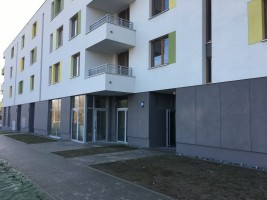 zdjęcie Zawiła