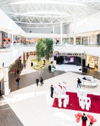 zdjęcie Magnolia Park