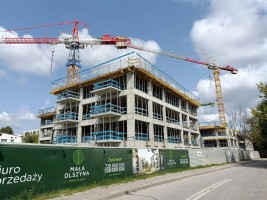 zdjęcie Mała Olszyna