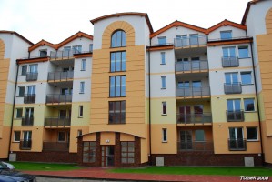 zdjęcie Niedźwiedzia 7-9