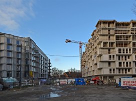 zdjęcie Kępa Mieszczańska