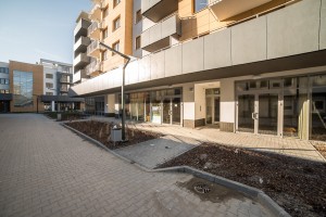 etap III