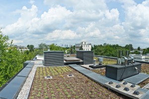 zdjęcie Rezydencja Łowicka