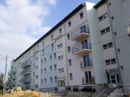 zdjęcie Pod Sześcioma Lipami