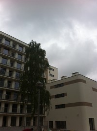 zdjęcie Blue Marine