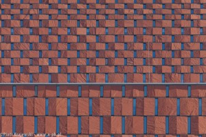 zdjęcie Centrum Informacji Naukowej i Biblioteka Akademicka