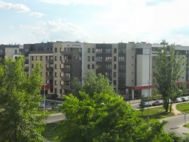 zdjęcie Zielona Wyspa