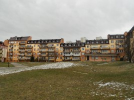 zdjęcie Budryka 2