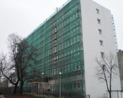 zdjęcie Zielona 8
