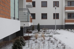 zdjęcie Cortile