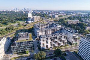 zdjęcie Mangalia Mokotów